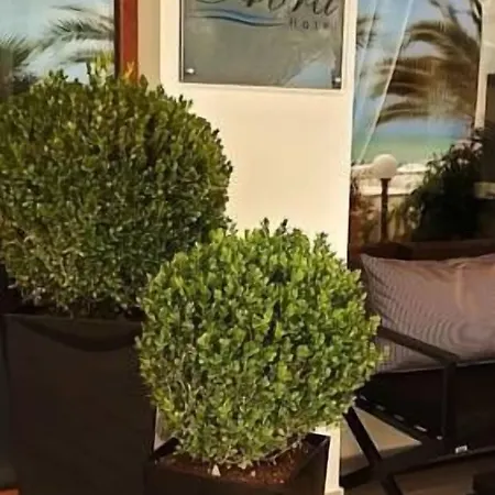 Hotel Avra